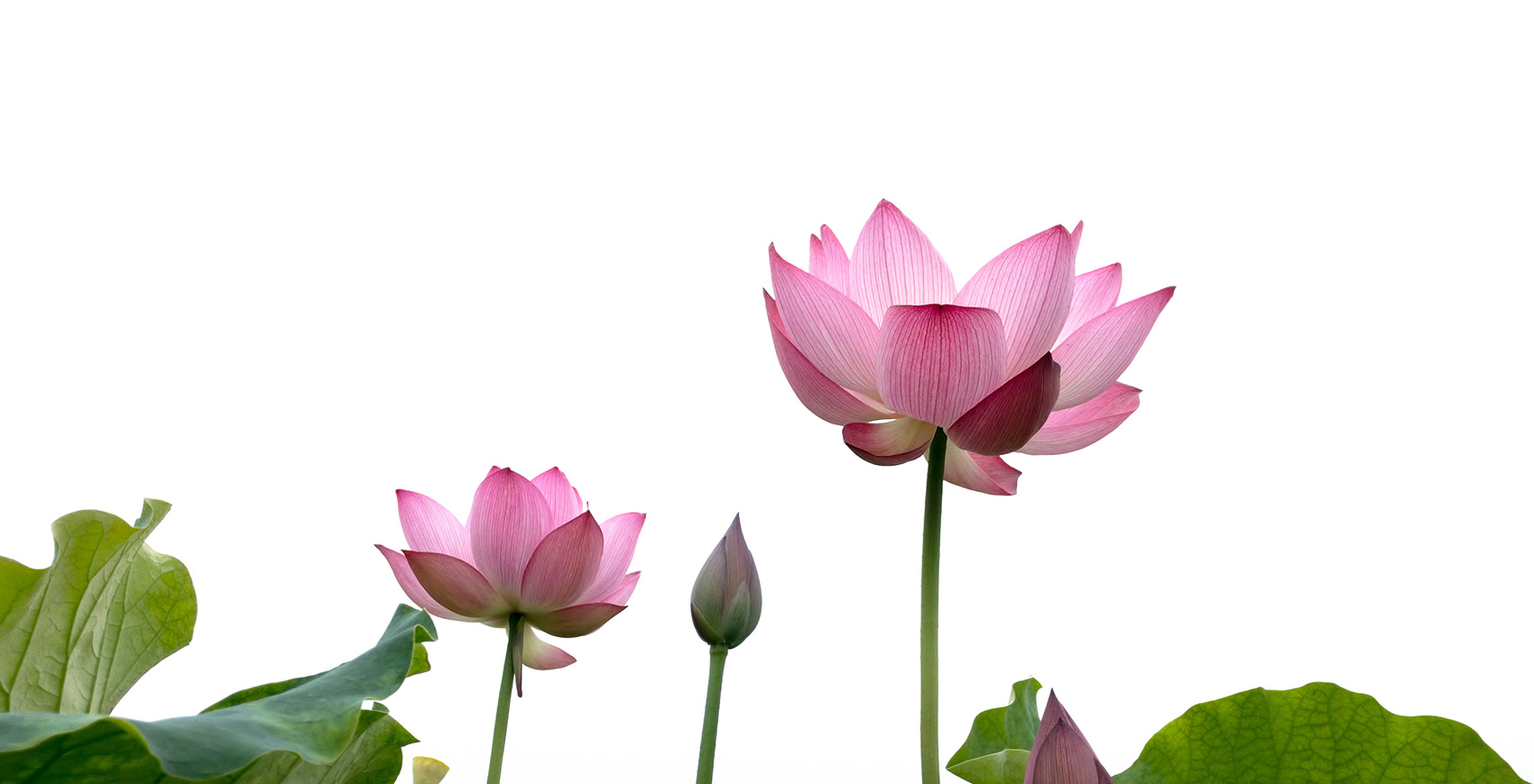 bti体育·(中国)官方网站APP下载